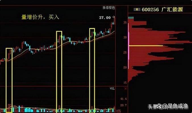 但凡连续大涨的股票量价必定有这特征读懂你将赚到怀疑人生！