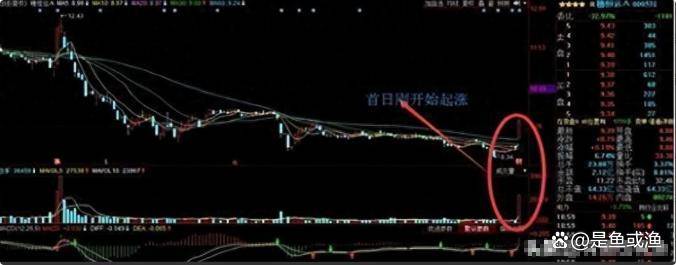 但凡连续大涨的股票量价必定有这特征读懂你将赚到怀疑人生！