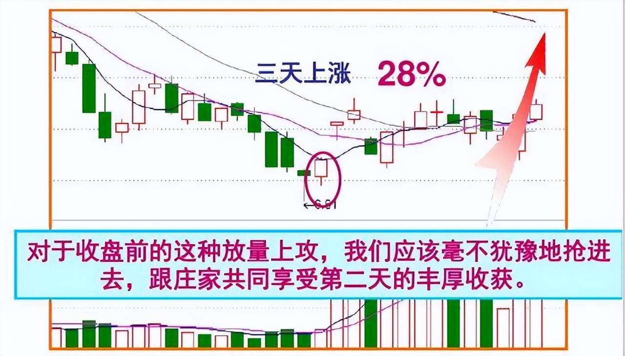 终于有人把盘口暗语讲明白了一旦熟练掌握庄家便无容身之地!