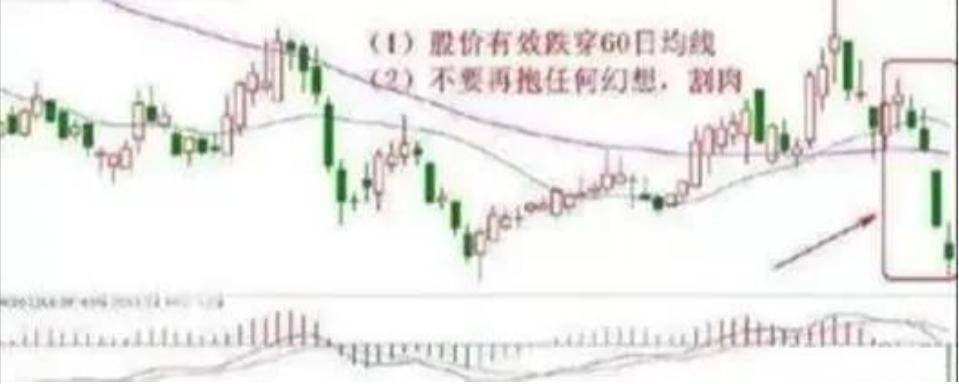 适者生存真正的炒股高手一直谨记的股市铁律成功不是一朝夕