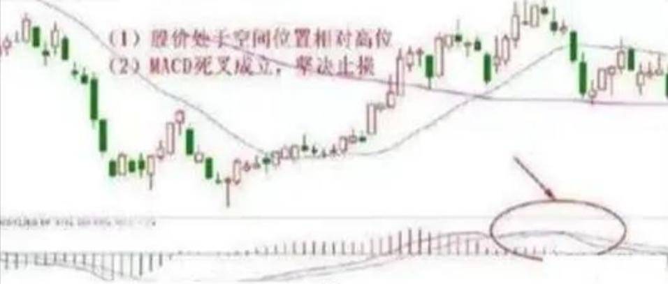 适者生存真正的炒股高手一直谨记的股市铁律成功不是一朝夕