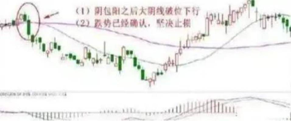 适者生存真正的炒股高手一直谨记的股市铁律成功不是一朝夕