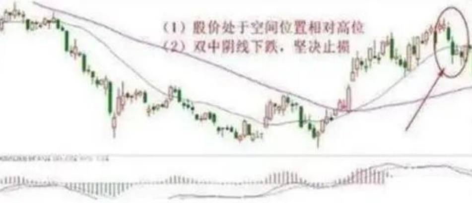 适者生存真正的炒股高手一直谨记的股市铁律成功不是一朝夕