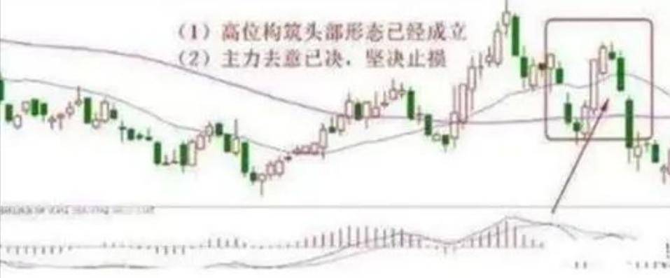 适者生存真正的炒股高手一直谨记的股市铁律成功不是一朝夕