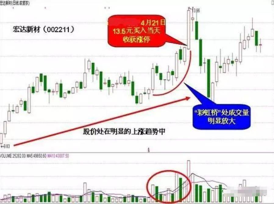 适者生存真正的炒股高手一直谨记的股市铁律成功不是一朝夕