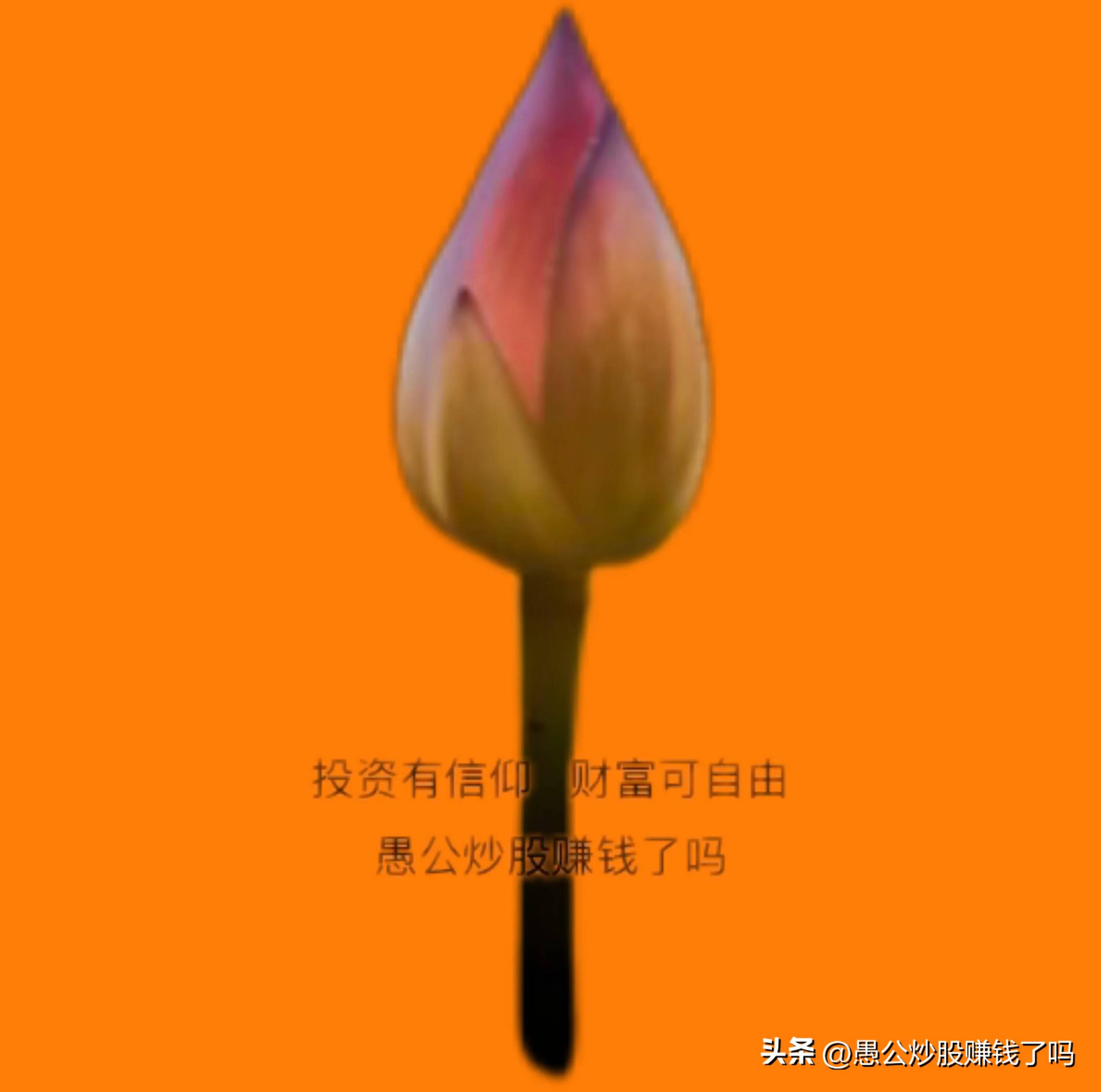 正知正觉3000保卫战深度剖析A股市场的波动规律与本质