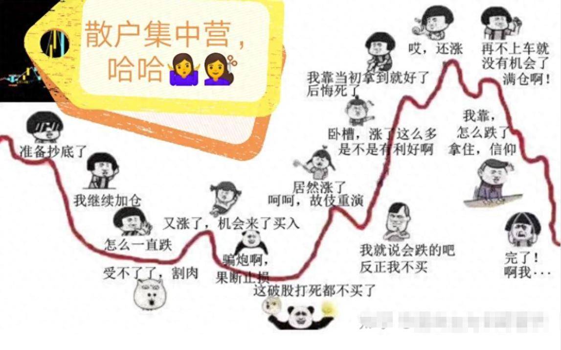 散户为什么拿不住股票？