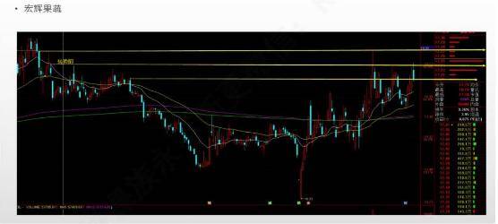 ETF与股票法则之仓位法则