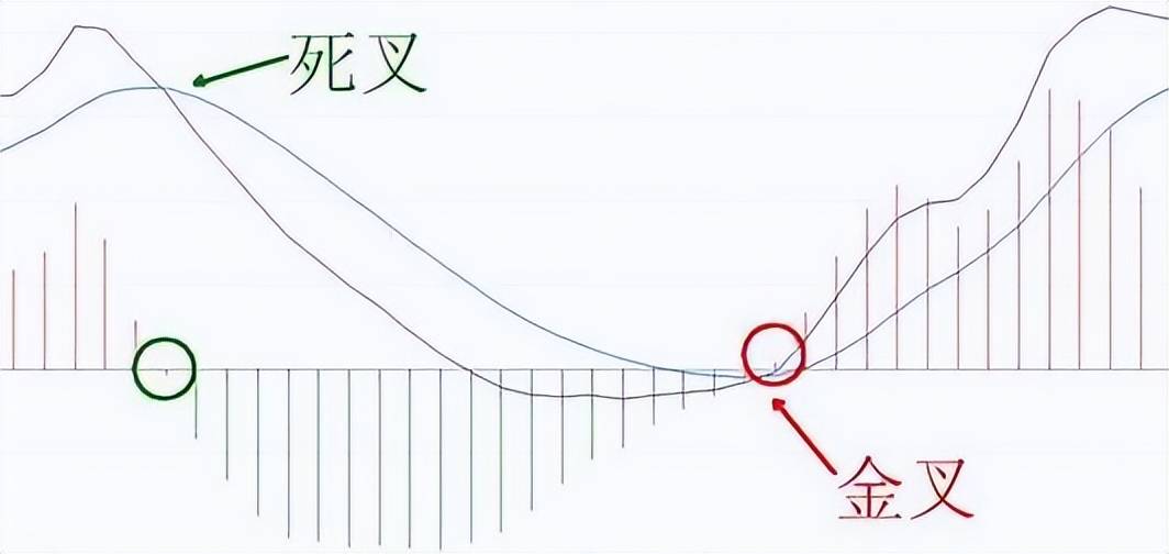 他逃过两次大股灾从亏损累累到财富自由全靠这套MACD秘籍