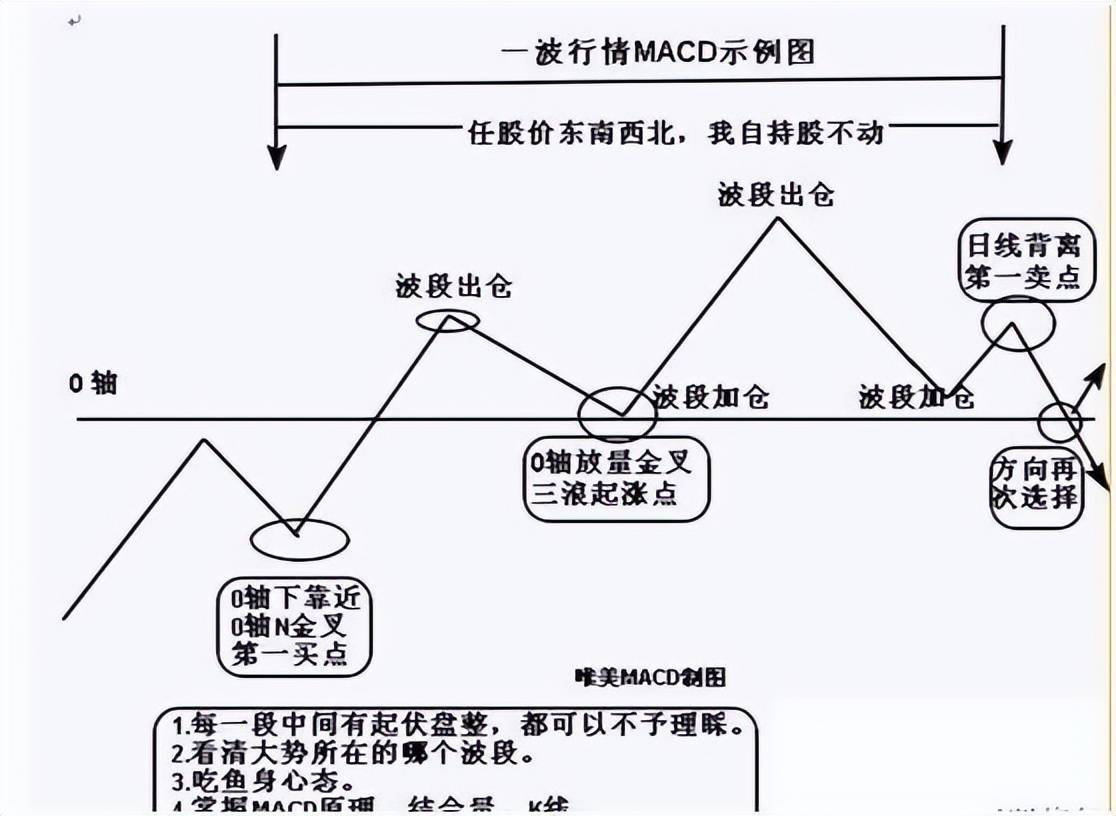 他逃过两次大股灾从亏损累累到财富自由全靠这套MACD秘籍