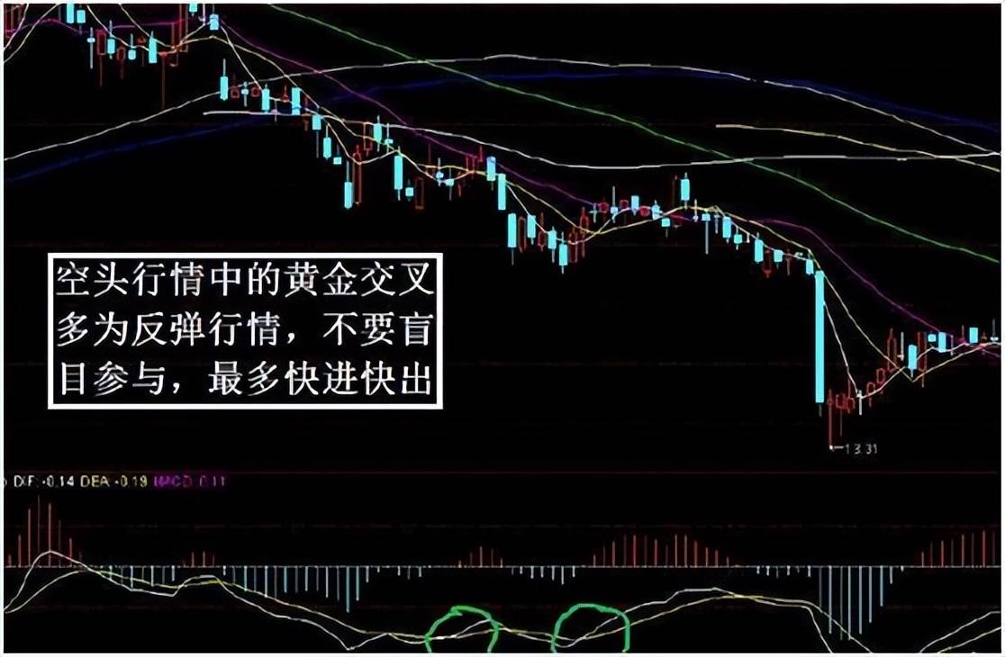 他逃过两次大股灾从亏损累累到财富自由全靠这套MACD秘籍