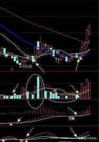 探秘金叉与死叉信号投资路上的红绿灯