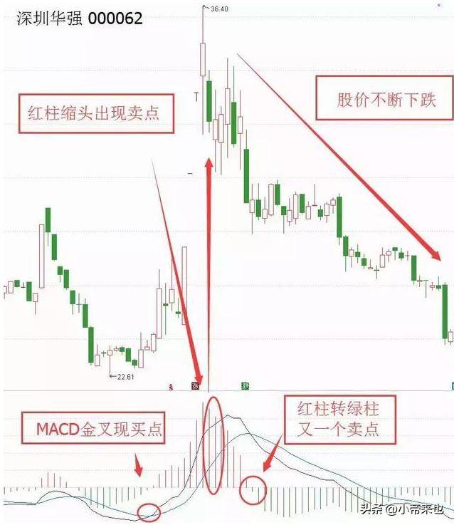 探秘金叉与死叉信号投资路上的红绿灯