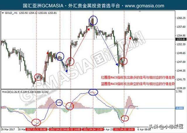探秘MACD指标原理与实战的奇妙之旅