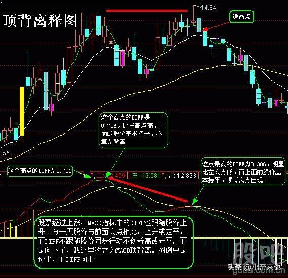 探秘MACD指标原理与实战的奇妙之旅