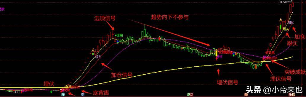 趋势选股法股市投资的致胜之道