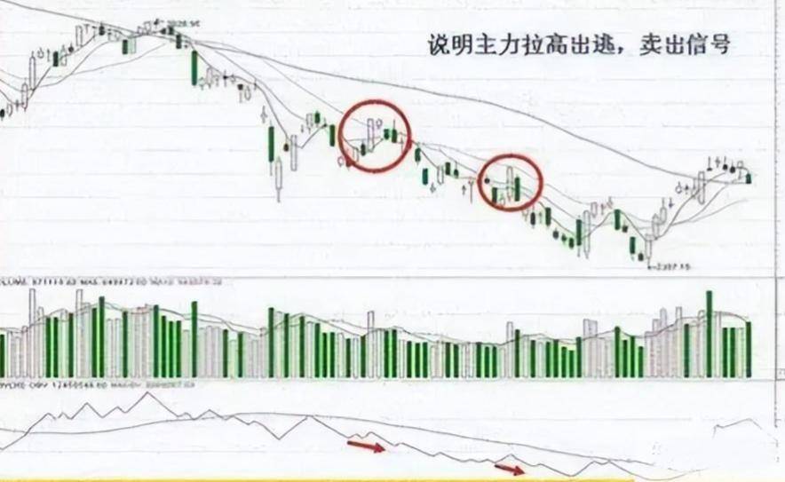 炒股盈利的人都会的一招500股补仓法亏损的散户必看!