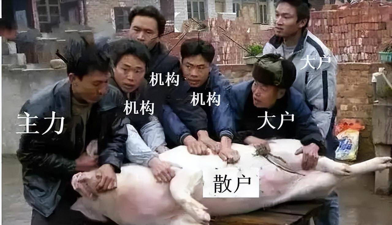 如何看待国九条对a股市场的影响？会引发超级牛市么？