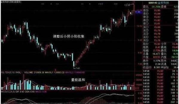 傻傻分不清主力是洗盘还是出货？看一眼成交量就够了堪称经典