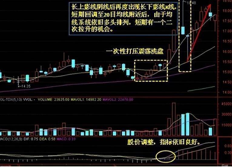 一位炒股大师的价值救赎我走了5年弯路写了这些建议给散户！