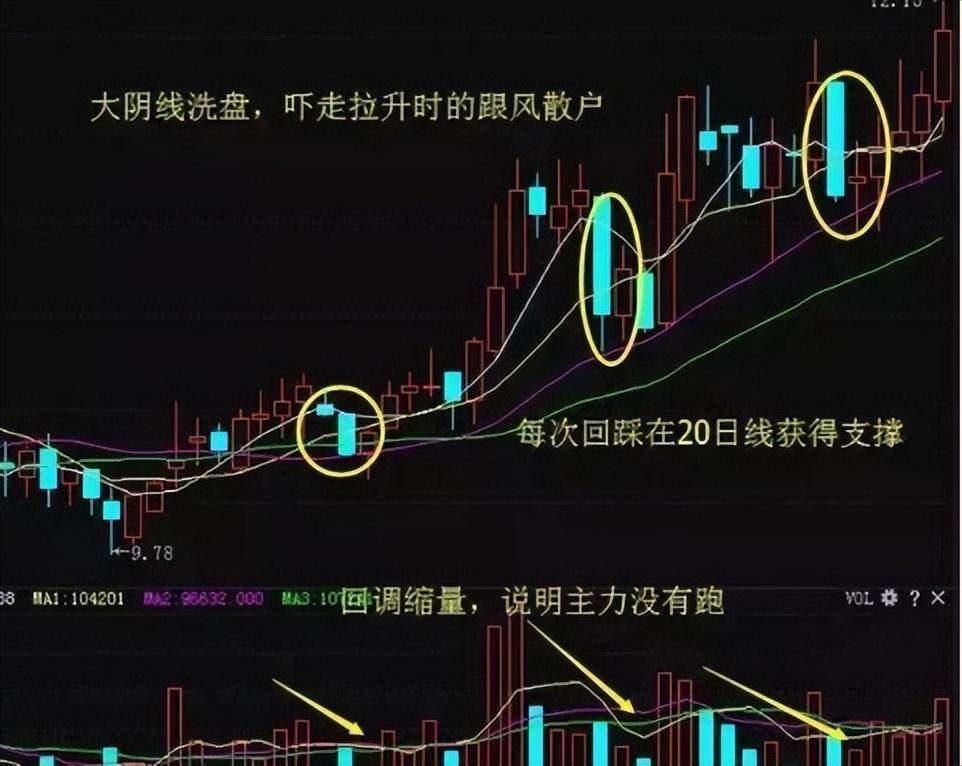 一位炒股大师的价值救赎我走了5年弯路写了这些建议给散户！
