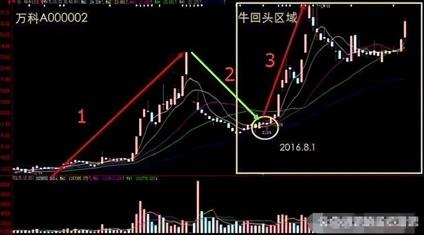 写给万千股民的一句话炒股就要以静制动散户值得细品