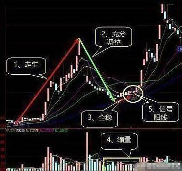 写给万千股民的一句话炒股就要以静制动散户值得细品