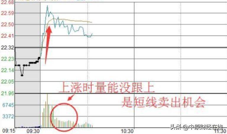 退役操盘手不小心泄漏密不外传的T0操作精髓顶级高手都在用