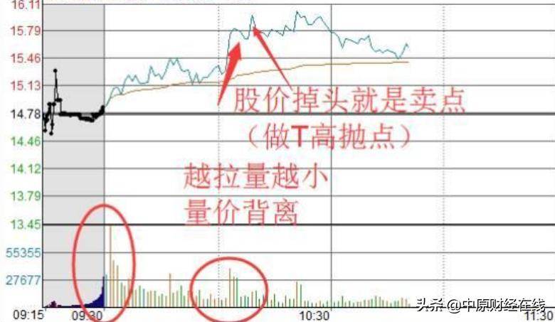 退役操盘手不小心泄漏密不外传的T0操作精髓顶级高手都在用
