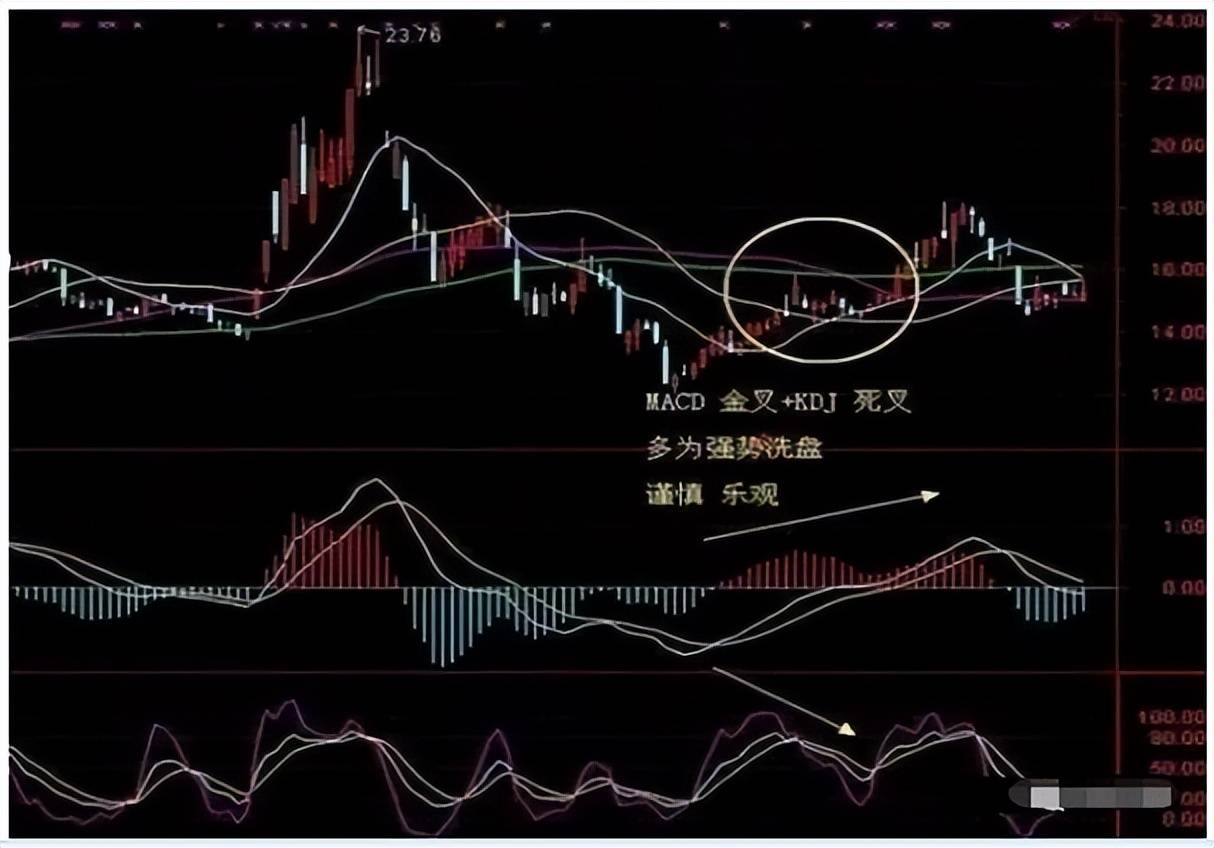 股票涨涨涨!庄拉升信号大揭秘