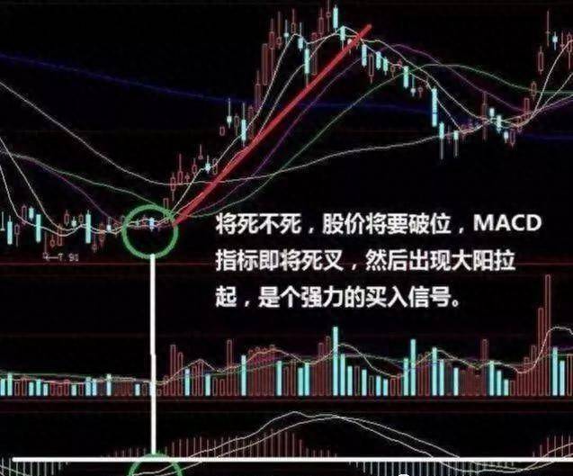 上海一老股民的操盘口诀将死不死必然上涨将金不金必然清仓！
