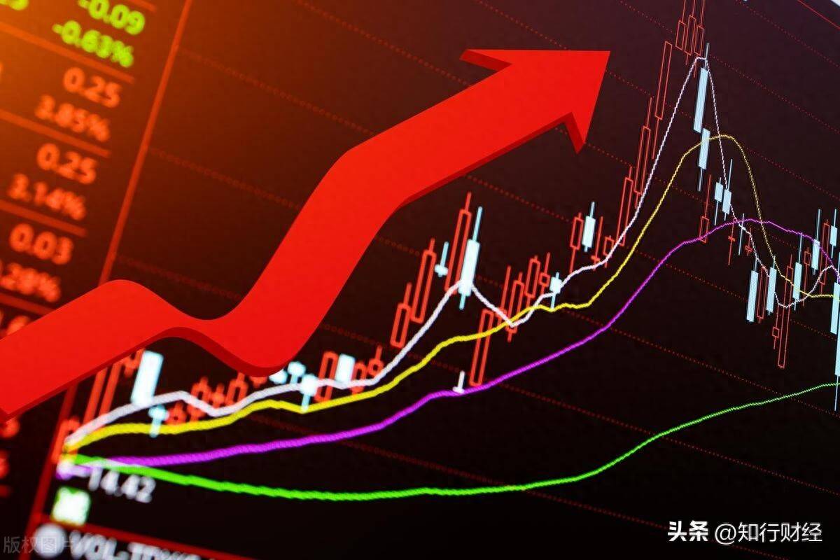 不论什么样市场都有独立行情的大妖股上哪说理去？