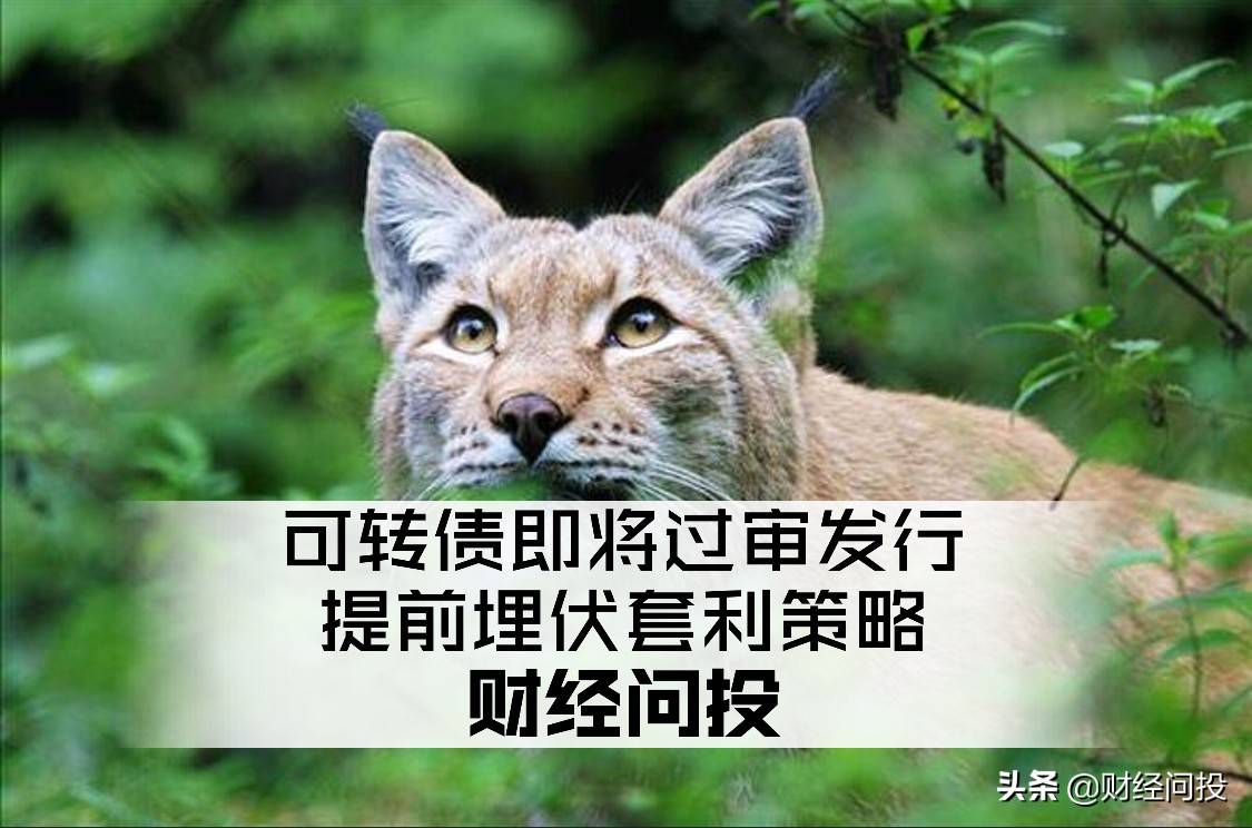 可转债即将过审发行提前埋伏套利策略