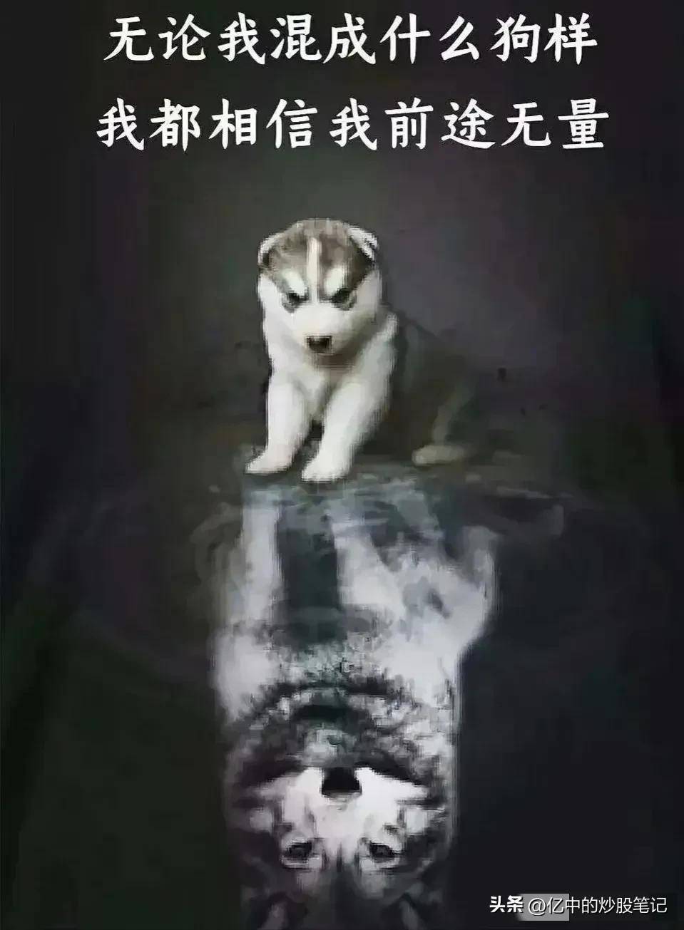 有关内幕消息的看法