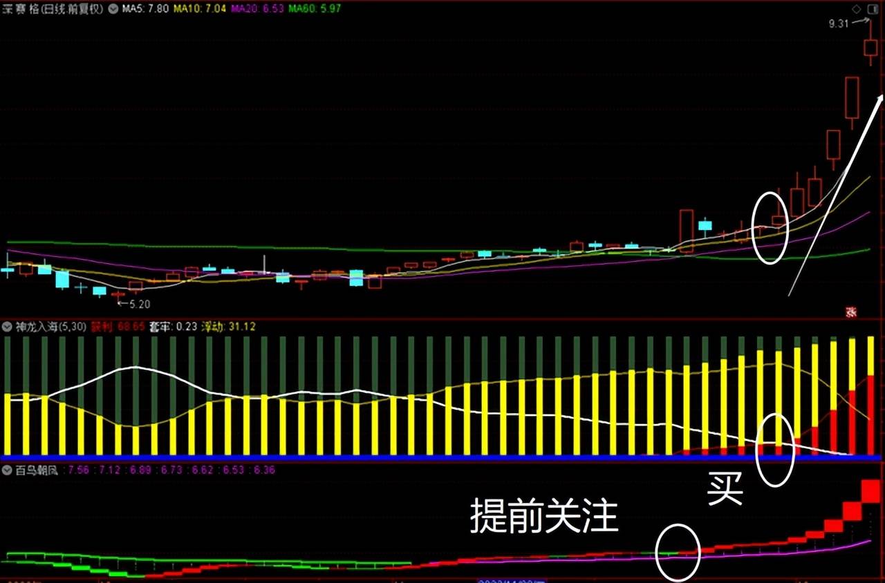 指标套系指标又来袭绝世无双战无敌！