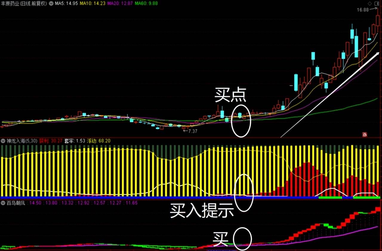 指标套系指标又来袭绝世无双战无敌！