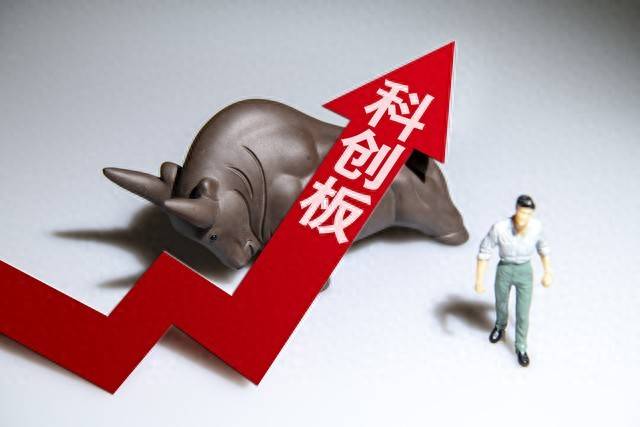 个股活跃看淡指数