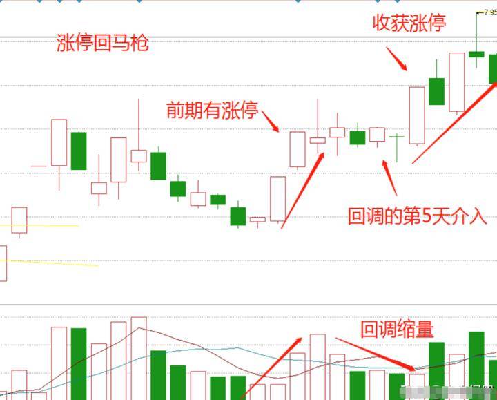 50万做到800万只因牢记涨停回马枪小资金也能快速做大！