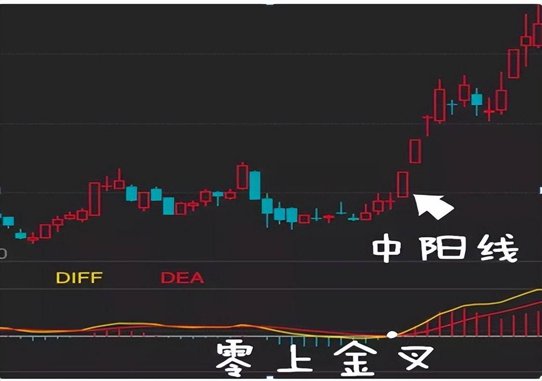 三年时间从30万做到1580万用最笨的方法炒股从不被庄套牢！