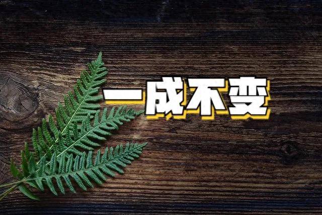 股票投资为什么要追寻多年近乎绝对不变的企业