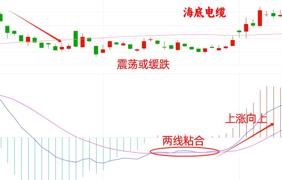 指标之王MACD八大买入形态让你一次性学透MACD