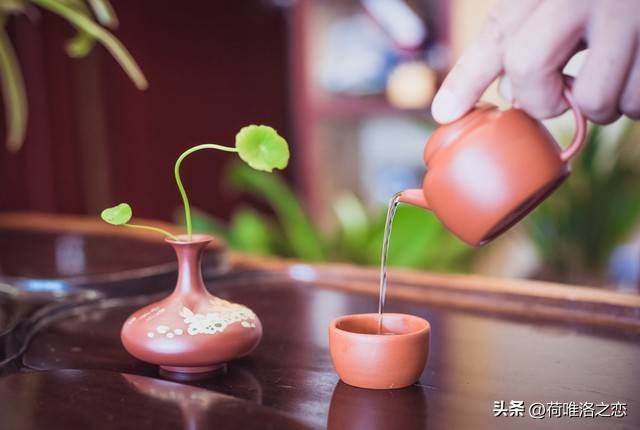 做交易怎样才算悟道成功