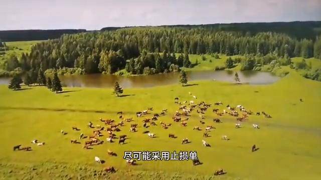 交易鬼才总结的19条交易规则