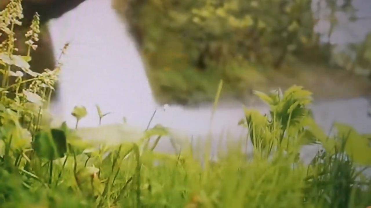 龙头战法的经典模式分歧转一致