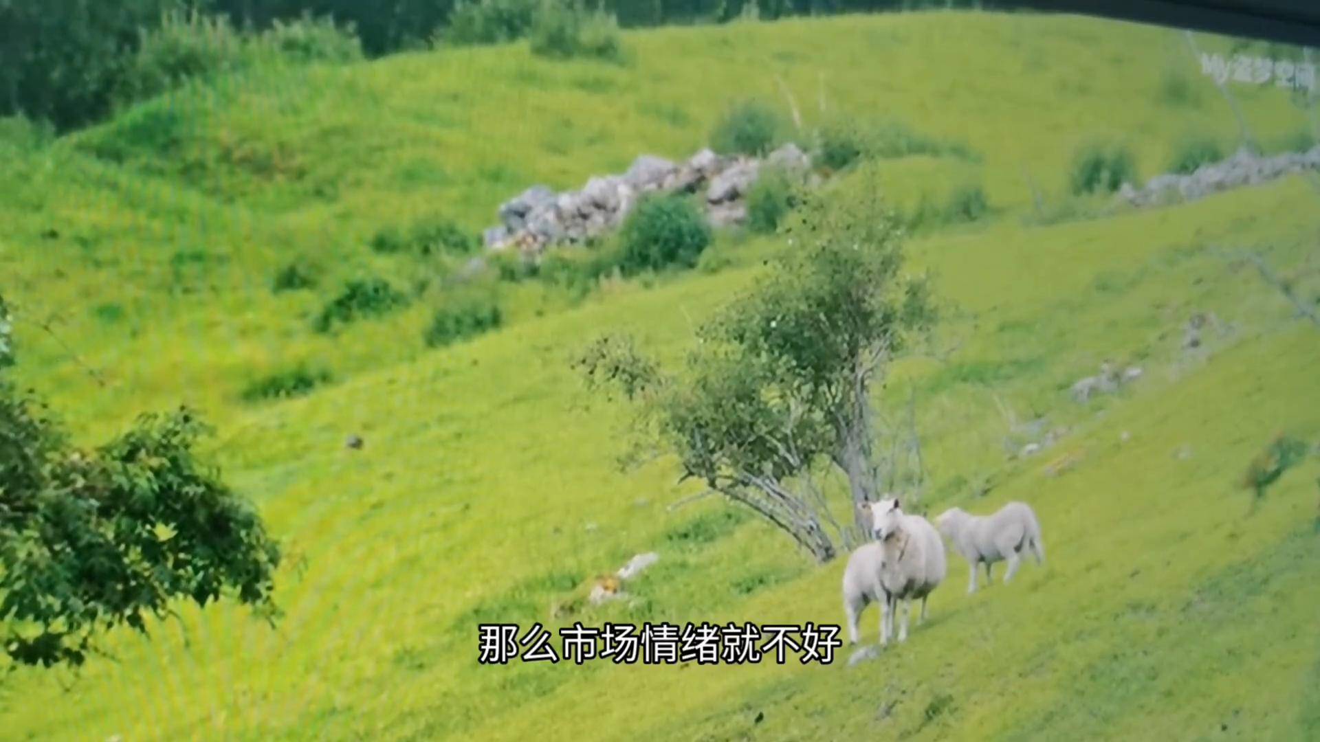 情绪博弈短线的秘密