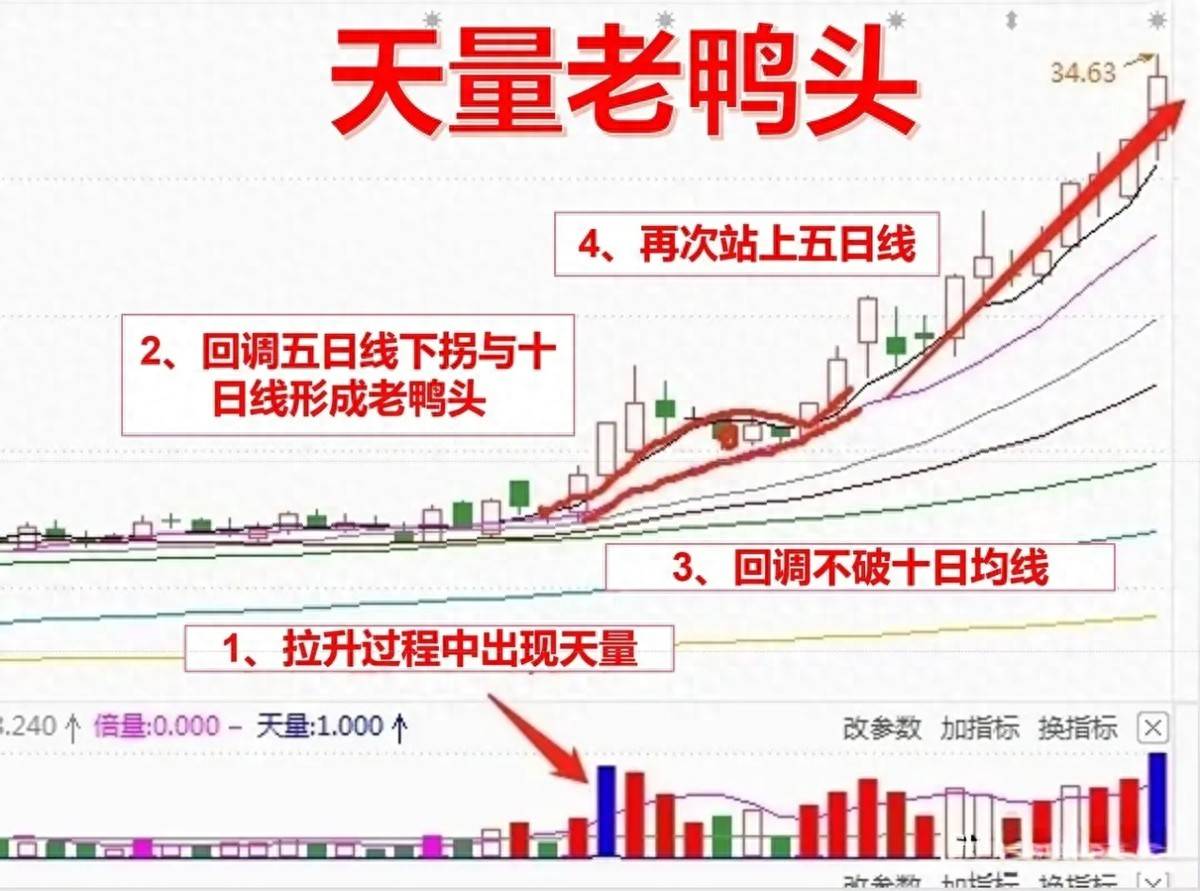 如果你决心炒一辈子股将炒股当成第二职业牢记天量老鸭头