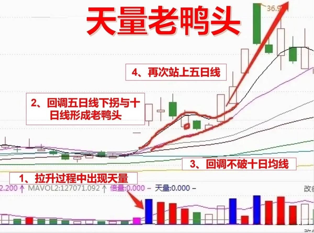 如果你决心炒一辈子股将炒股当成第二职业牢记天量老鸭头