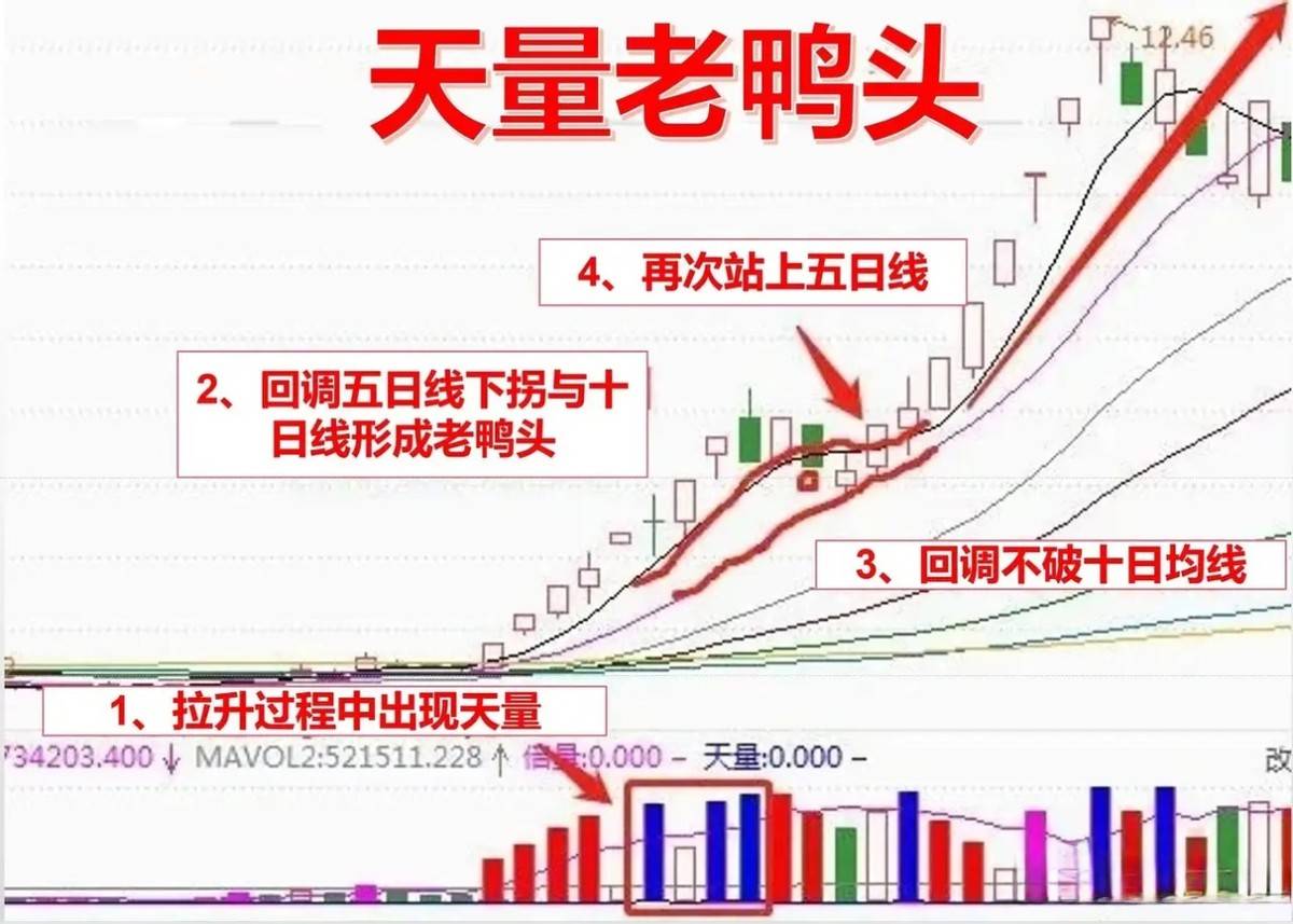 如果你决心炒一辈子股将炒股当成第二职业牢记天量老鸭头