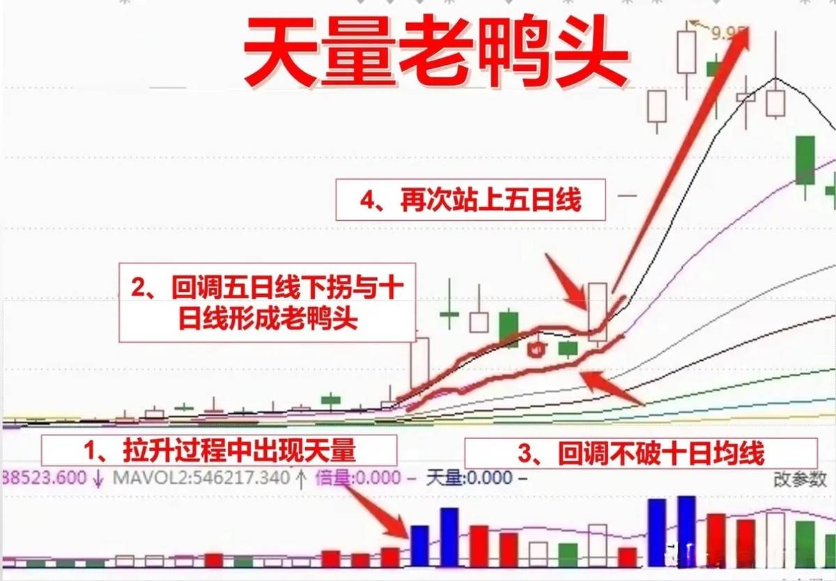 如果你决心炒一辈子股将炒股当成第二职业牢记天量老鸭头
