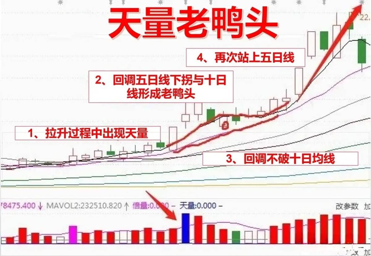 如果你决心炒一辈子股将炒股当成第二职业牢记天量老鸭头